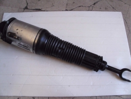 Audi - Strut - Shock - 4E0616039T
